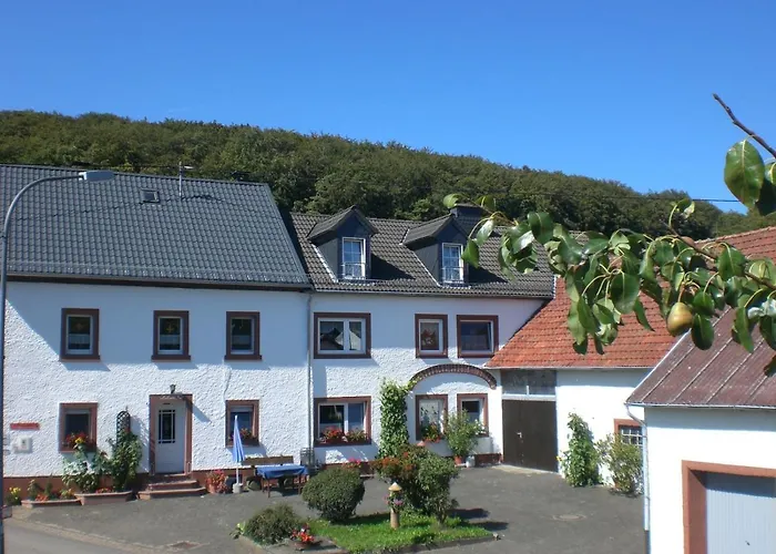 Bauernhof&Ferienwohnung An der Lay