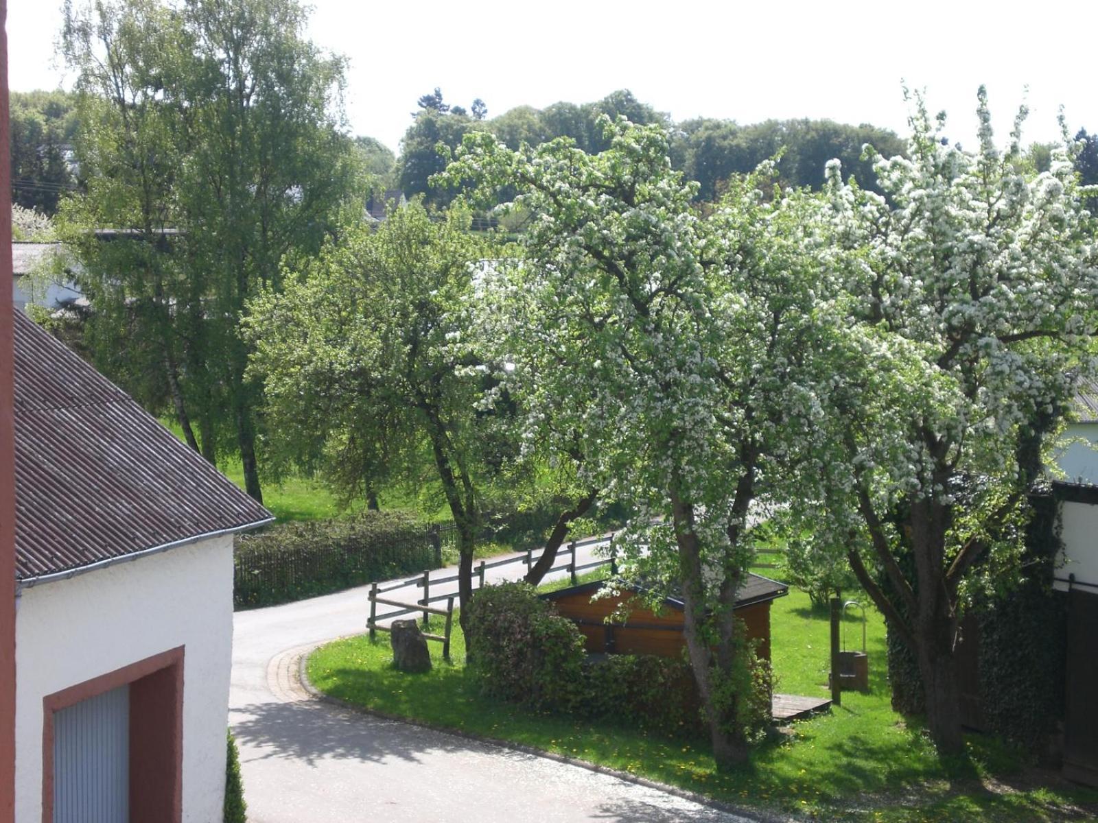 Bauernhof&ferienwohnung An Der Lay *