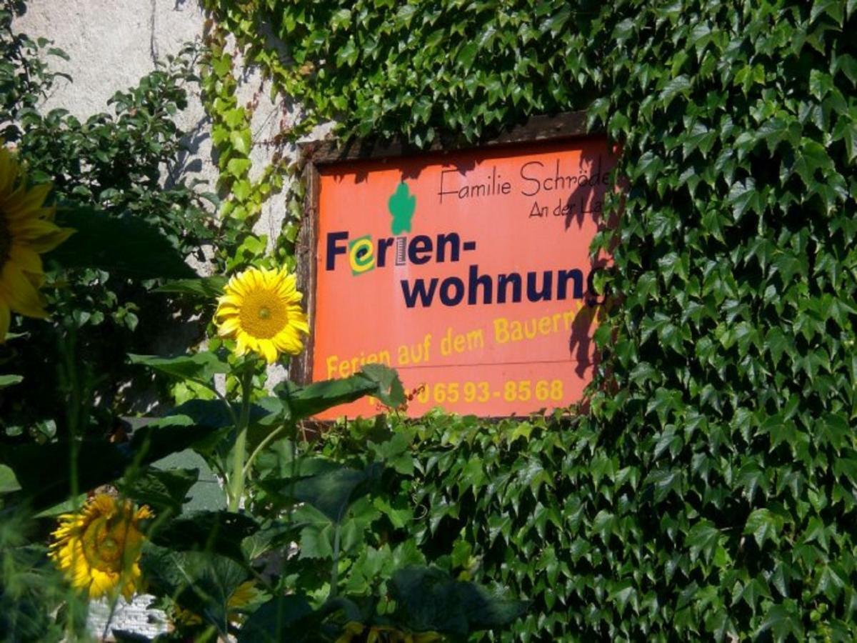 Bauernhof&ferienwohnung An Der Lay Kerpen (Rhineland-Palatinate)